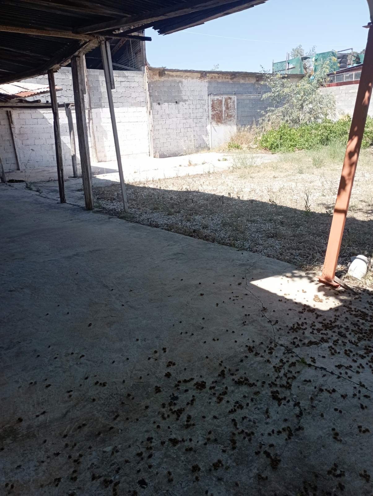 Επαγγελματικός χώρος στο Κορωπί