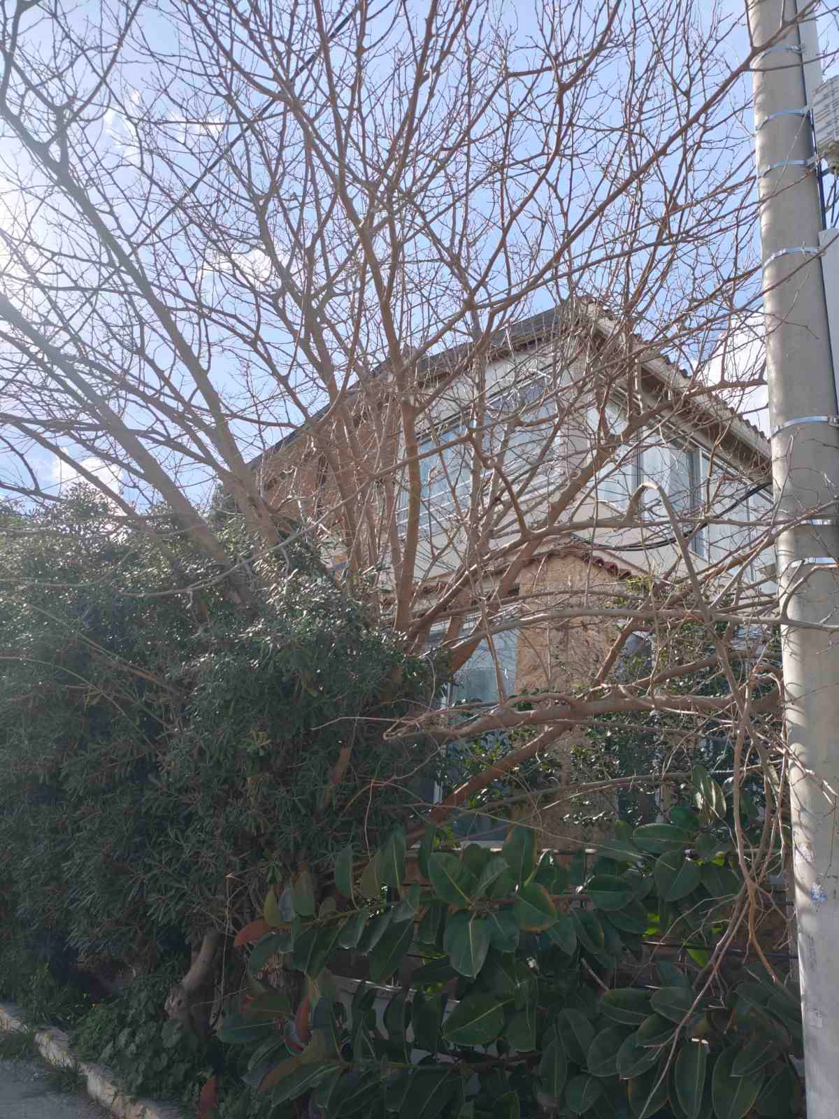 Ενοικιάζεται διπλό κατοικία 1ου ορόφου στο Πόρτο Ράφτη